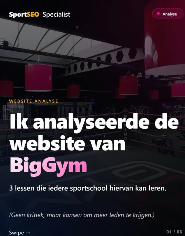 Website analyse BigGym